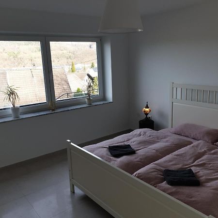 Schoene Wohnung Ueber Wissen Экстерьер фото